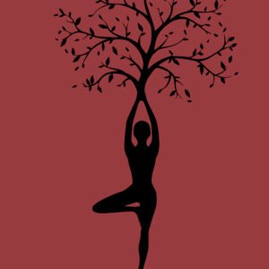 Women Wellness